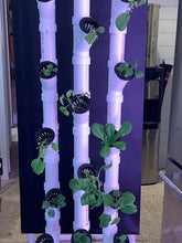 Load image into Gallery viewer, Hydro-15