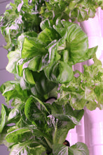 Load image into Gallery viewer, Hydro-15