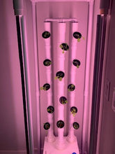 Load image into Gallery viewer, Black Out Cover